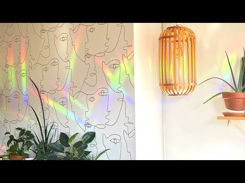 Botanical Bodies Rainbow Suncatchers | Set of 3