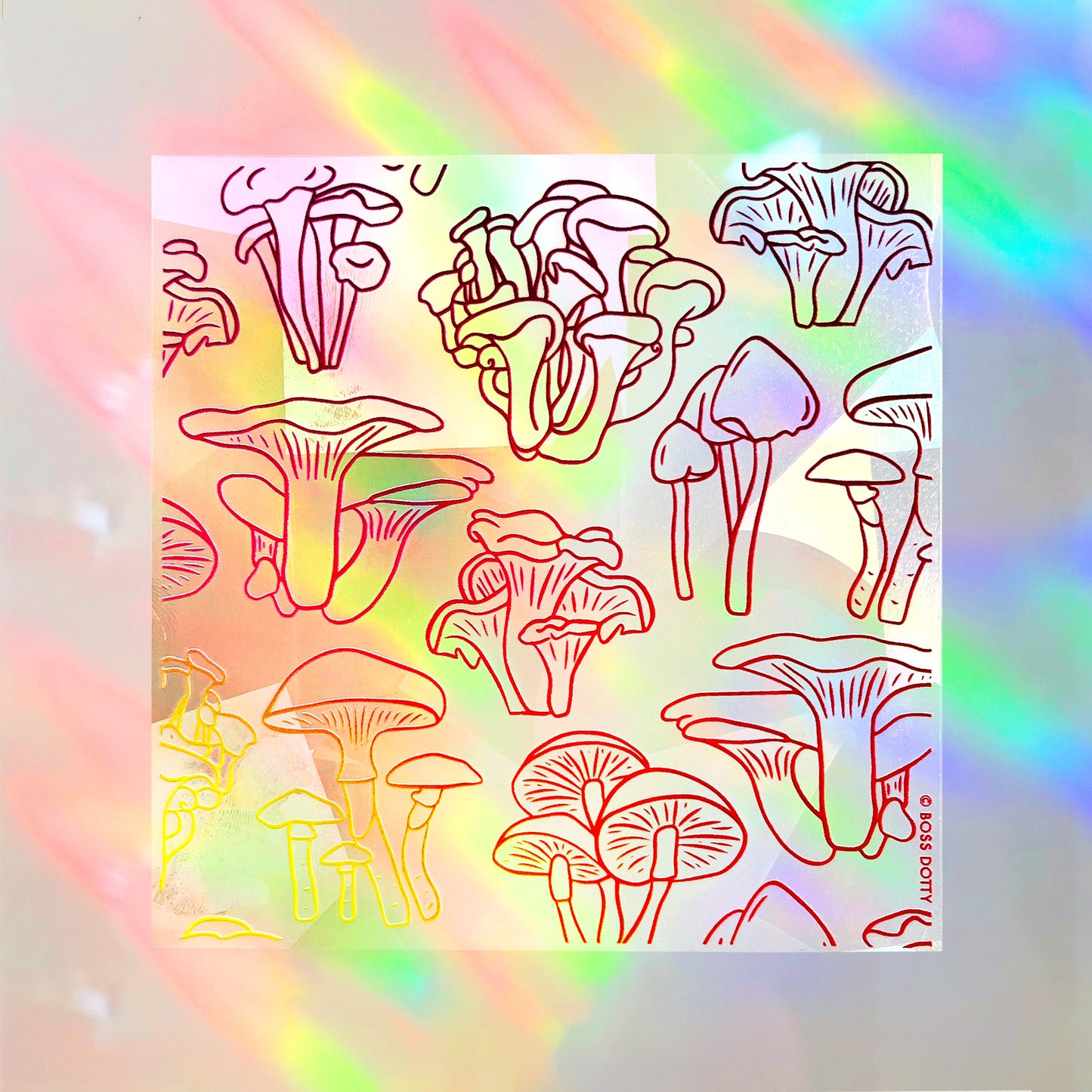 Mixed Mushrooms Suncatcher
