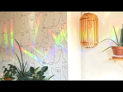 Botanical Bodies Rainbow Suncatchers | Set of 3